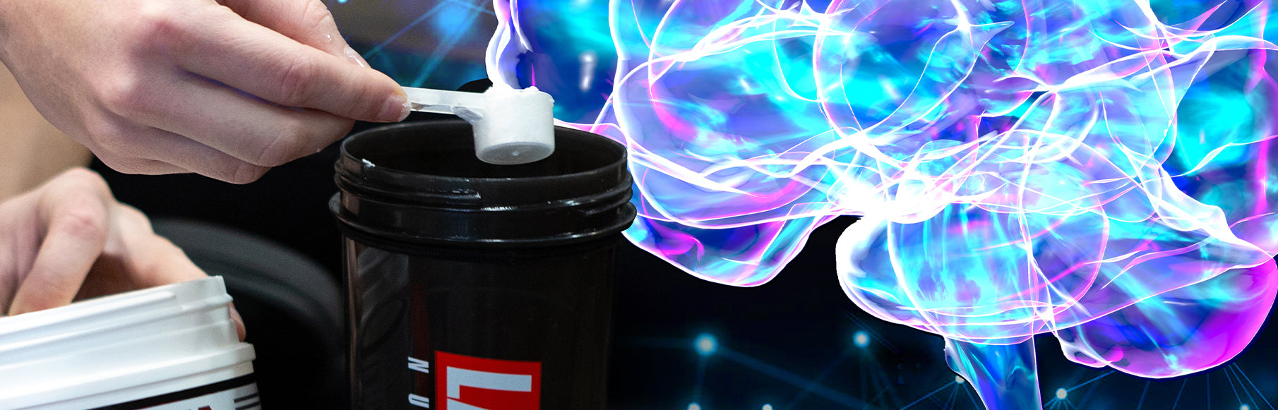 Creatine: Even More Important for Brain Than Muscle?