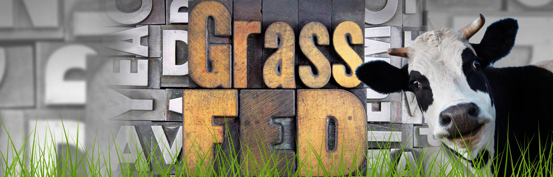 Grass Fed Beef vs. Grass Finished Beef