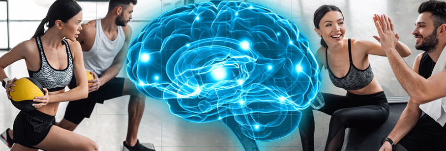 How Your Brain Benefits from Exercise