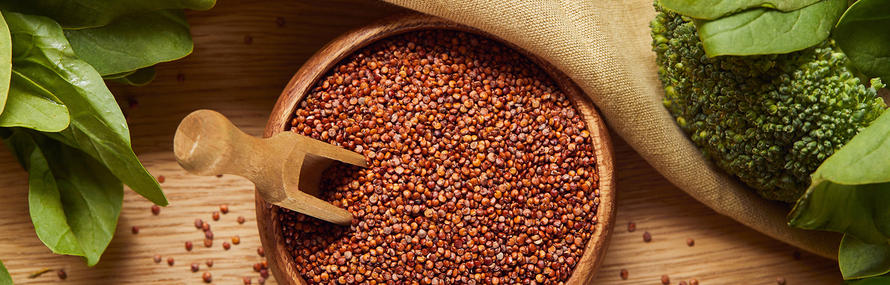 The Power of Plant-Based Proteins