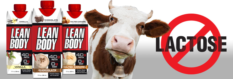 The Benefits of a Lactose-Free Protein Shake