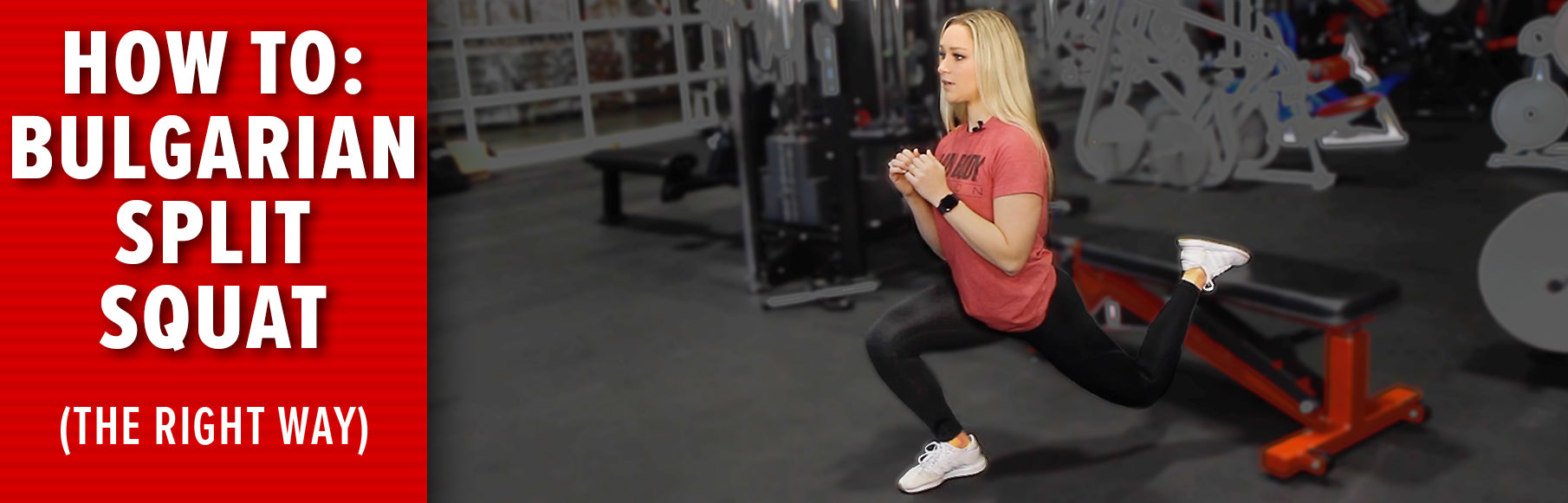 The Bulgarian Split Squat