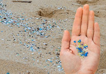 Micro Plastics: How Worried Should We Be?