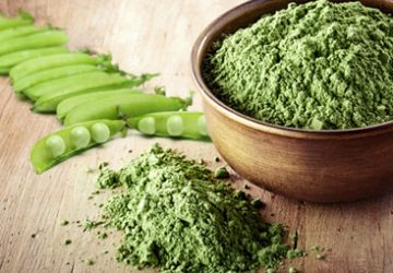 Plant Protein: Is it the Wave of Protein’s Future?