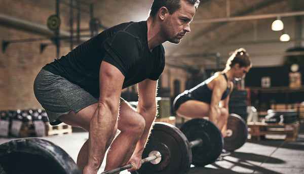 Training Splits: The Key to Workout Success